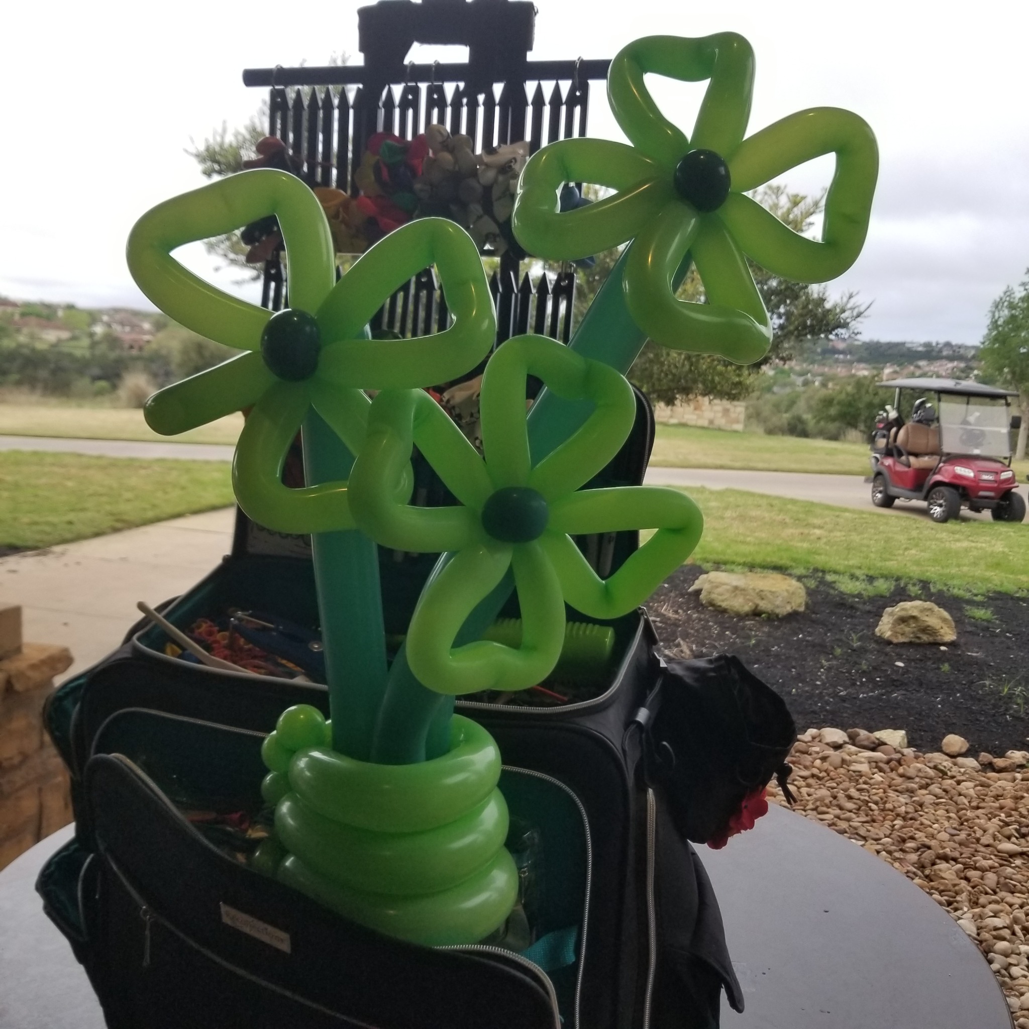 Three green balloon flowers